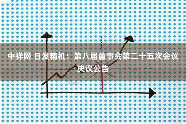 中祥网 日发精机：第八届董事会第二十五次会议决议公告