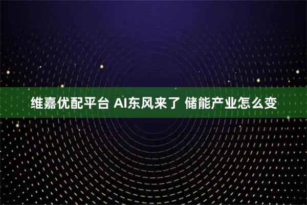 维嘉优配平台 AI东风来了 储能产业怎么变