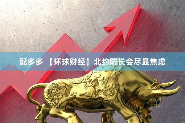 配多多 【环球财经】北约防长会尽显焦虑
